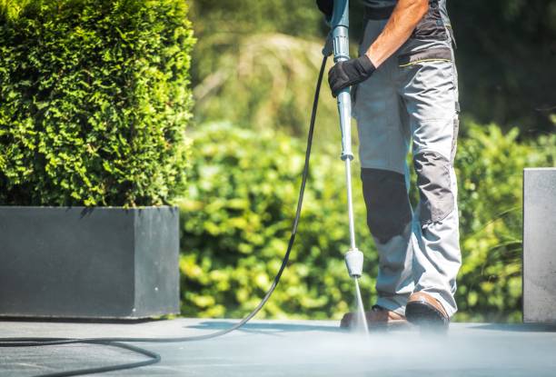Best Fence Cleaning  in Palm Bay, FL