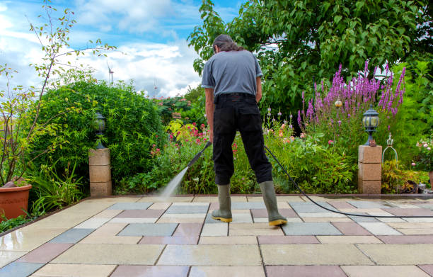 Best Animal Enclosure Cleaning  in Palm Bay, FL